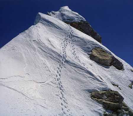 
Footprints leading to the Manaslu Summit - Los Ochomiles: Karakorum e Himalaya book
